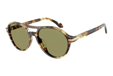 Sonnenbrille Giorgio Armani AR8236U 623214