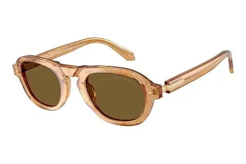 Sonnenbrille Giorgio Armani AR8244 630073