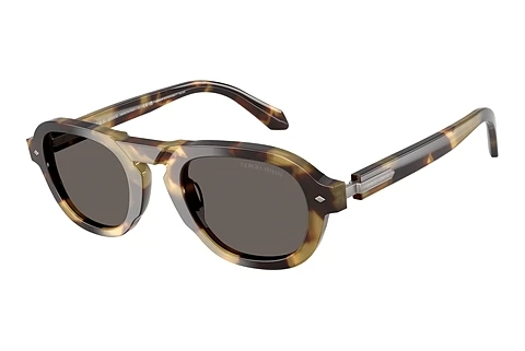 Sonnenbrille Giorgio Armani AR8244 6301B1