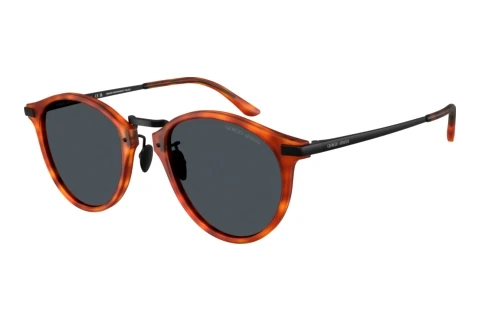 Sonnenbrille Giorgio Armani AR8250 6404R5