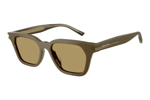 Sonnenbrille Giorgio Armani AR8251U 6401/2