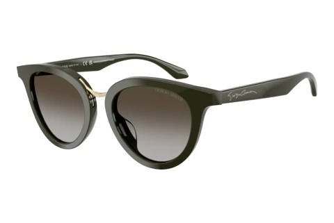 Sonnenbrille Giorgio Armani AR8252U 640013
