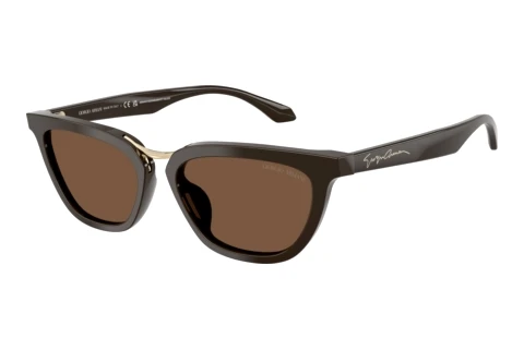 Sonnenbrille Giorgio Armani AR8253U 639873