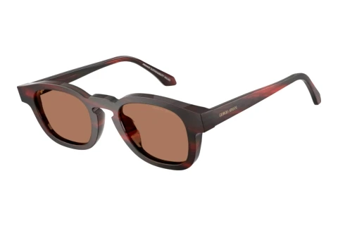Sonnenbrille Giorgio Armani AR8254U 639273