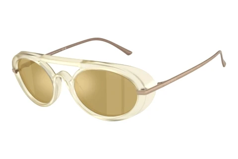 Sonnenbrille Giorgio Armani AR8256 6409O8
