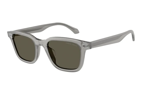 Sonnenbrille Giorgio Armani AR8265U 647471
