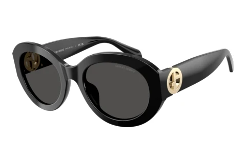 Sonnenbrille Giorgio Armani AR8269U 587587