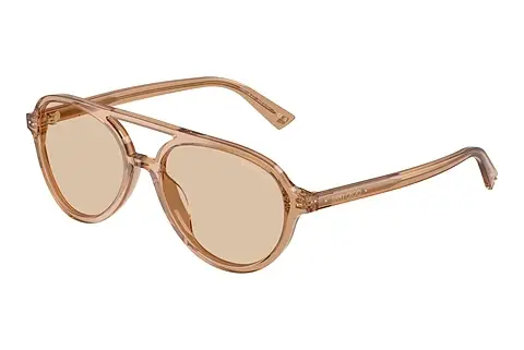 Sonnenbrille Jimmy Choo JC5055U 507693