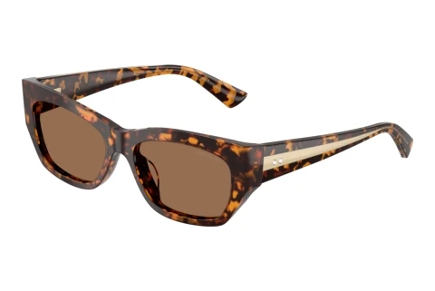 Sonnenbrille Jimmy Choo JC5071BU 512173