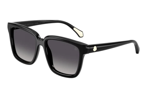 Sonnenbrille Moncler CLASICO (ME6026 3001T3)