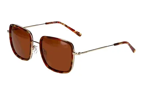 Sonnenbrille Morgan 207384 8200