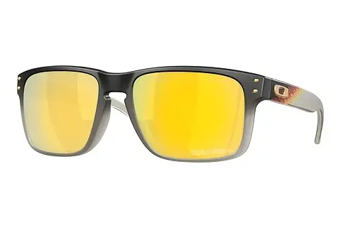 Sonnenbrille Oakley HOLBROOK (OO9102 9102AH)