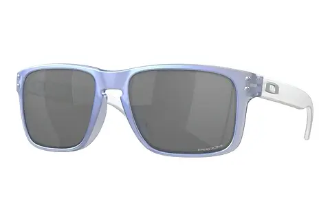 Sonnenbrille Oakley HOLBROOK (OO9102 9102X8)