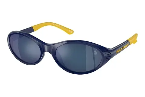Sonnenbrille Polo PH4197U 588655