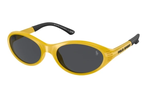Sonnenbrille Polo PH4197U 596187
