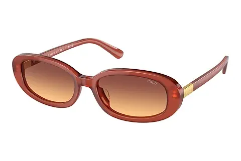 Sonnenbrille Polo PH4198U 619478