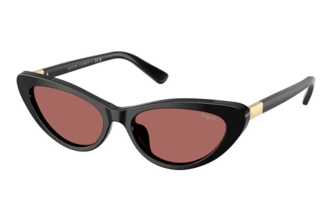 Sonnenbrille Polo PH4199U 500169