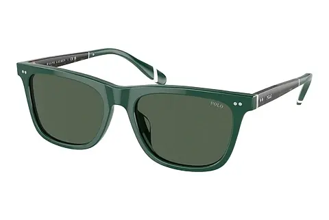 Sonnenbrille Polo PH4205U 614171
