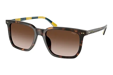Sonnenbrille Polo PH4224U 500313