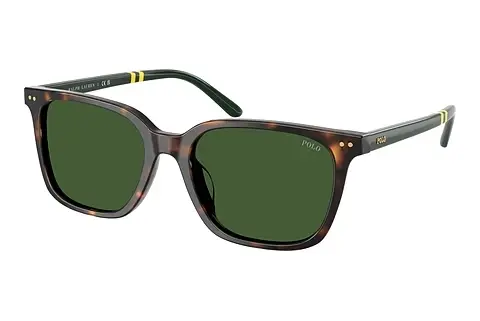 Sonnenbrille Polo PH4235U 500371