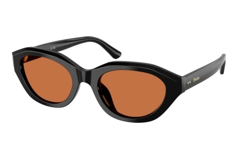 Sonnenbrille Polo PH4237U 500173