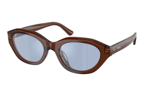 Sonnenbrille Polo PH4237U 63531U