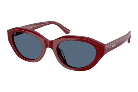 Sonnenbrille Polo PH4237U 639280