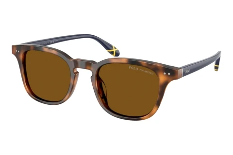 Sonnenbrille Polo PH4251U 608983