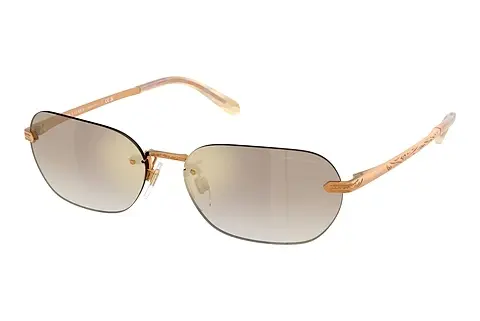Sonnenbrille Ralph Lauren RL7089 91536E