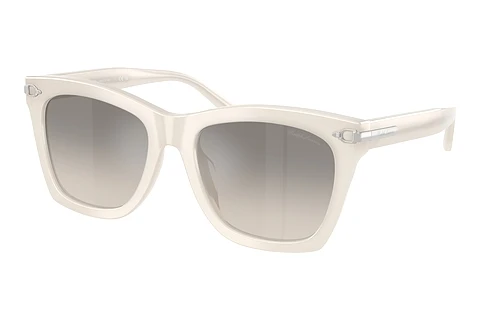 Sonnenbrille Ralph Lauren RL8235U 618208