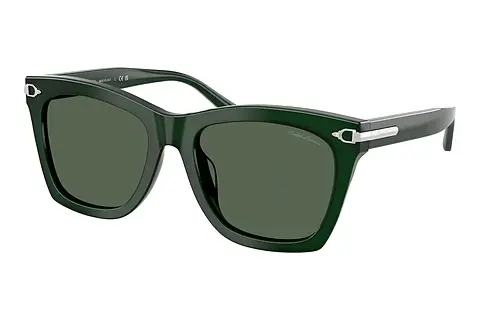Sonnenbrille Ralph Lauren RL8235U 630471
