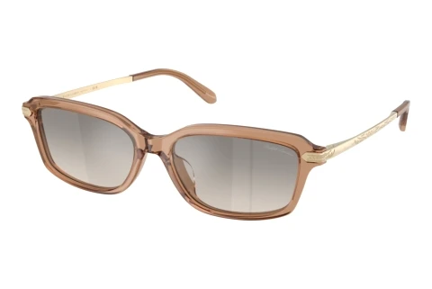Sonnenbrille Ralph Lauren RL8245U 637708