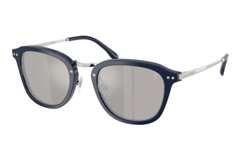 Sonnenbrille Ralph Lauren RL8246 55866G