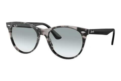 Sonnenbrille Ray-Ban Wayfarer II (RB2185 1250AD)