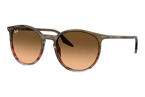 Sonnenbrille Ray-Ban RB2204 13953B