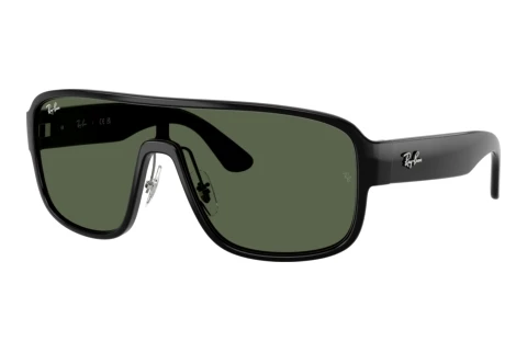 Sonnenbrille Ray-Ban RB2229 901/71