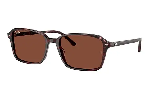 Sonnenbrille Ray-Ban RAIMOND (RB2231 1416C5)