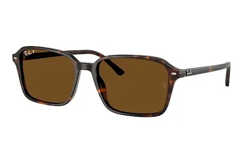 Sonnenbrille Ray-Ban RAIMOND (RB2231 902/57)