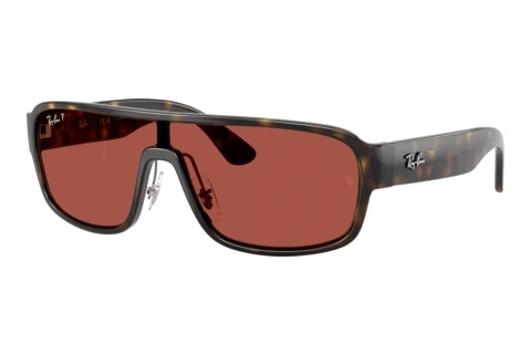 Sonnenbrille Ray-Ban RB2233 710/1B