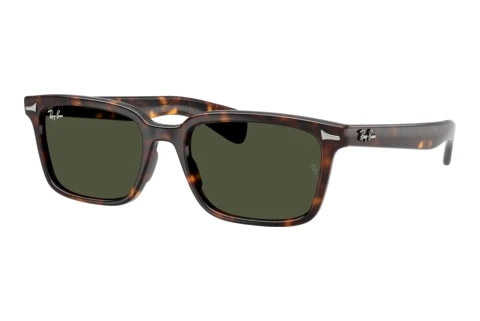 Sonnenbrille Ray-Ban BRUNEL (RB2234 902/31)
