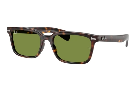 Sonnenbrille Ray-Ban BRUNEL (RB2234 902/4E)
