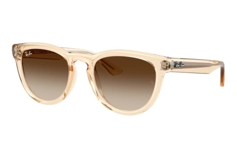 Sonnenbrille Ray-Ban RB2237 690213