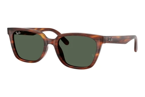 Sonnenbrille Ray-Ban RB2243D 954/71