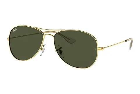 Sonnenbrille Ray-Ban COCKPIT (RB3362 001)