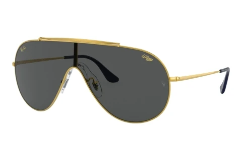 Sonnenbrille Ray-Ban WINGS (RB3597 924687)