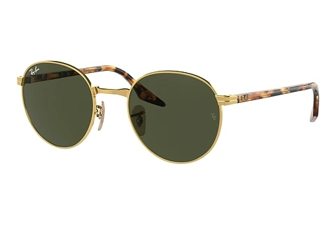 Sonnenbrille Ray-Ban RB3691 001/31