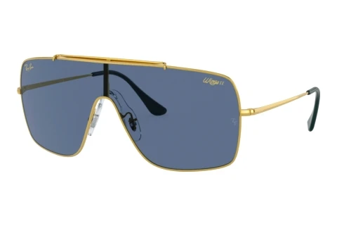 Sonnenbrille Ray-Ban WINGS II (RB3697 924580)