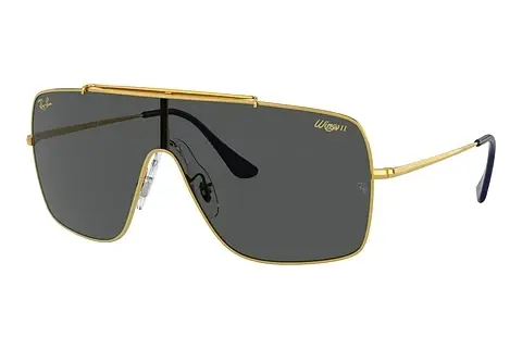 Sonnenbrille Ray-Ban WINGS II (RB3697 924687)