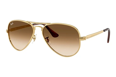 Sonnenbrille Ray-Ban AVIATOR MAX (RB3925 001/51)
