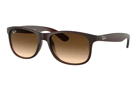 Sonnenbrille Ray-Ban ANDY (RB4202 607313)